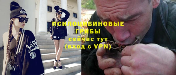 дмт Медвежьегорск