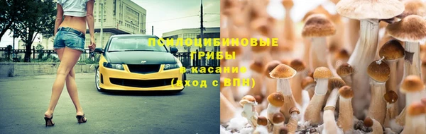 твердый Медногорск