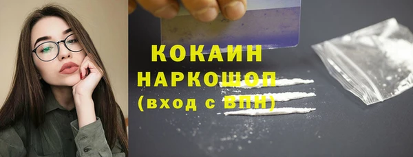 твердый Медногорск