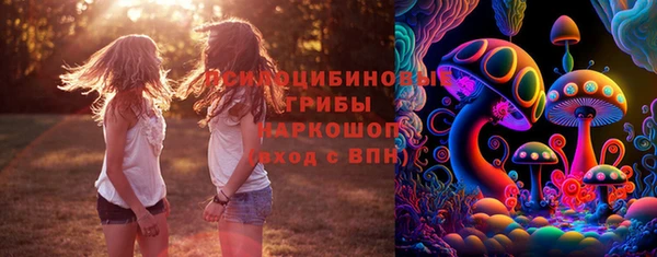 дмт Медвежьегорск