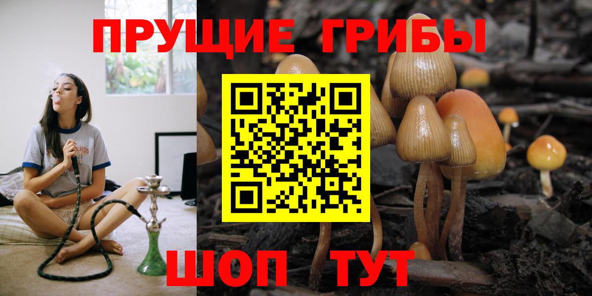Галлюциногенные грибы Magic Shrooms  Вход с VPN  Долгопрудный  Псилоцибиновые грибы мухоморы 