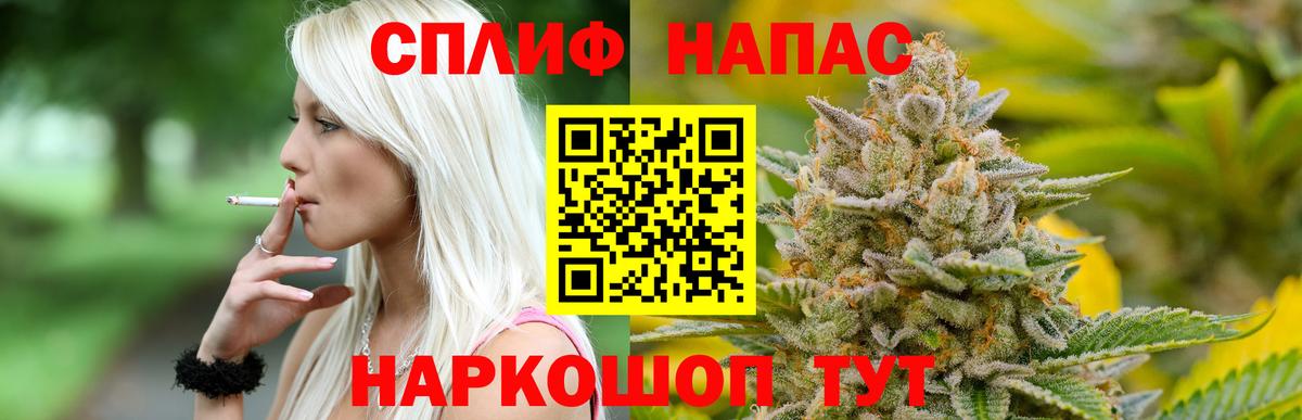 Каннабис SATIVA & INDICA  Конопля сатива  Долгопрудный  Марихуана конопля 